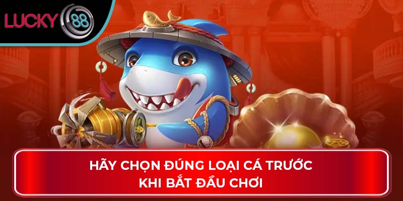 Hãy chọn đúng loại cá trước khi bắt đầu chơi